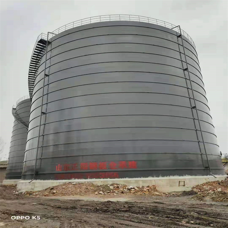 仁寿3万吨大型钢板库