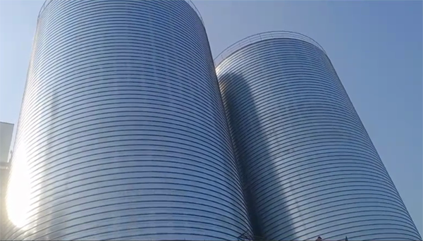 仁寿2座混凝土高架卷板仓